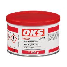 OKS 220 250G MoS2-Paste Rapid