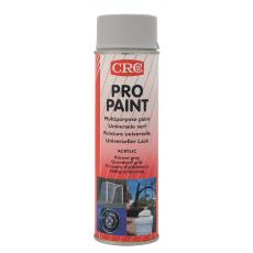 CRC 30388-AB PRO PAINT Haftgrund Profifarbe Grundierung 500ml Spraydose