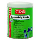 CRC 20120-AA ASSEMBLY PASTE Montagepaste NSF H1 500g Dose